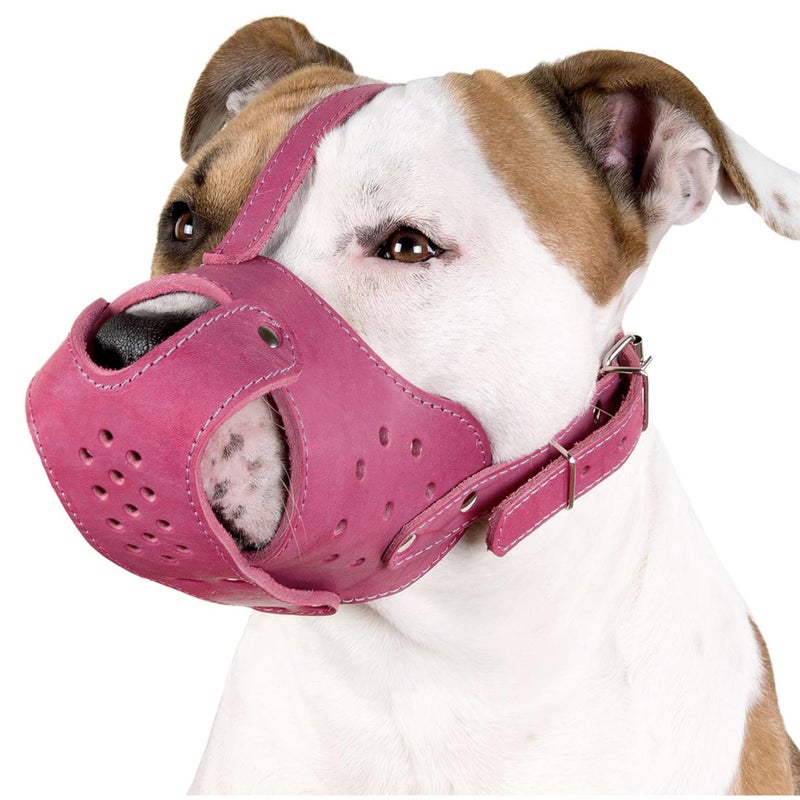 CollarDirect Dog Muzzle Pitbull Amstaff Basket Genuine Leather Staffordshire Terrier (Pink) - Image 1